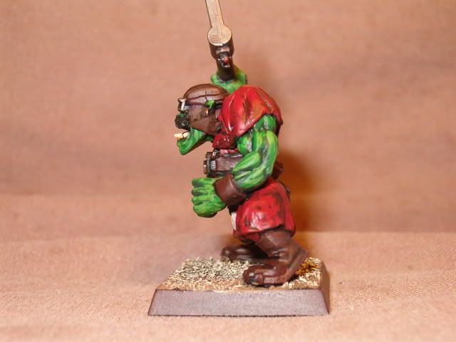 http://i654.photobucket.com/albums/uu263/WBKurgan/Pirate%20Orcs/HPIM9233.jpg