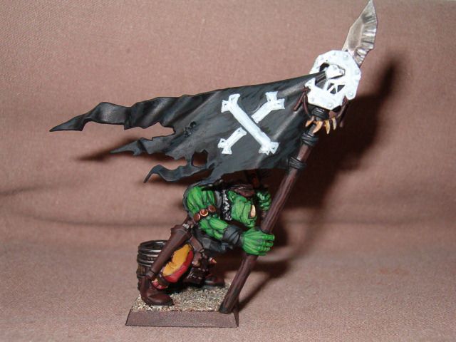 http://i654.photobucket.com/albums/uu263/WBKurgan/Pirate%20Orcs/HPIM9535.jpg