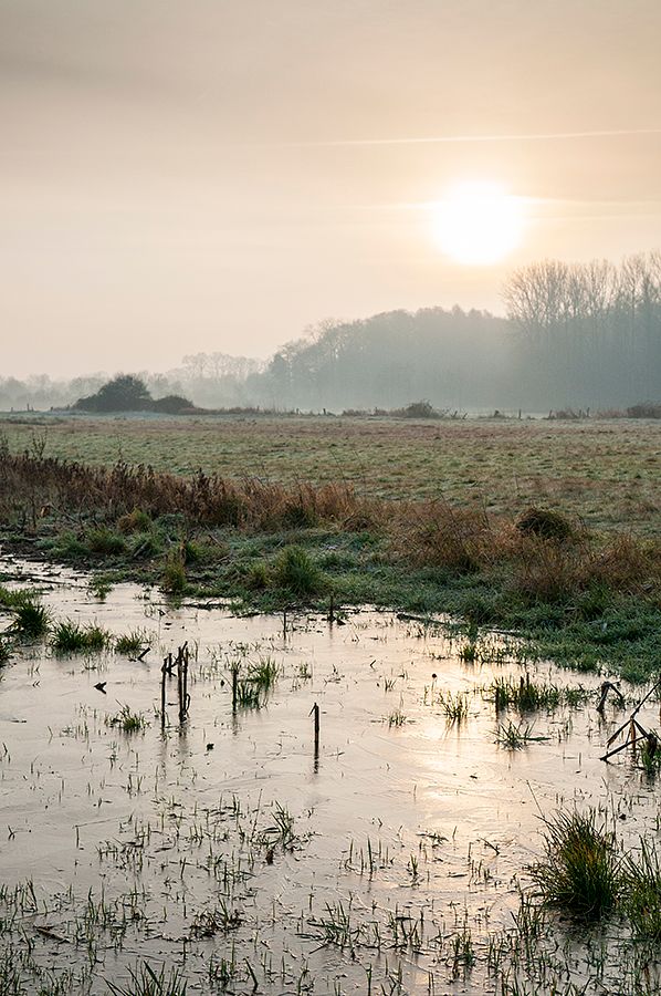 Fotografie