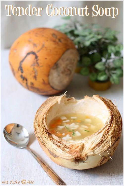 Tender coconut soup4