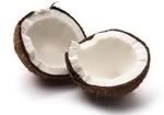 Coconut Pictures, Images and Photos