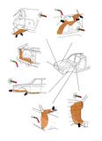 [Afbeelding: th_ant-roest2.jpg]