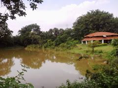 Palasbithi at Panchet resort-palasbithi-panchet
