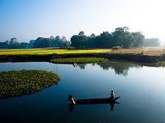 River island Majuli river-island-majuli