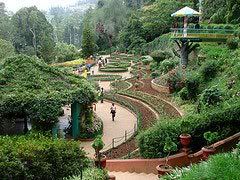 Botanical garden of Ooty ooty-botanical-garden
