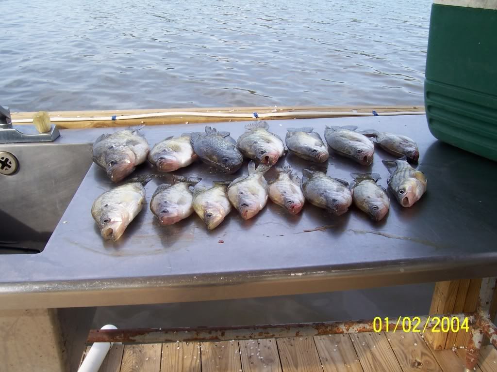 Larto Lake Fishing Report 3 28 3 31 09