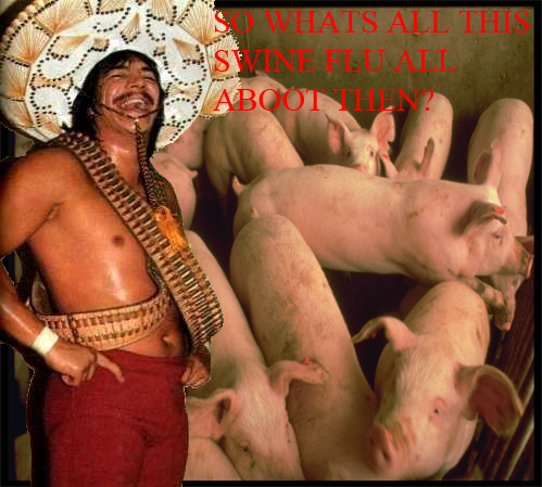 Swineflupandemic.png