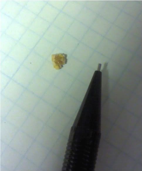 2011-07-26_11-05-02_38.jpg
