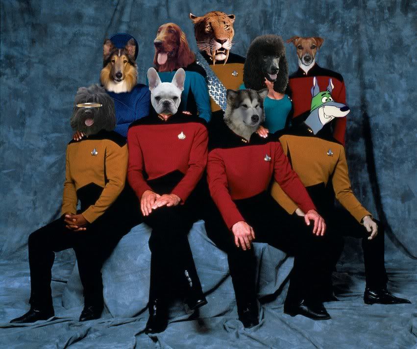 tng-dogs.jpg
