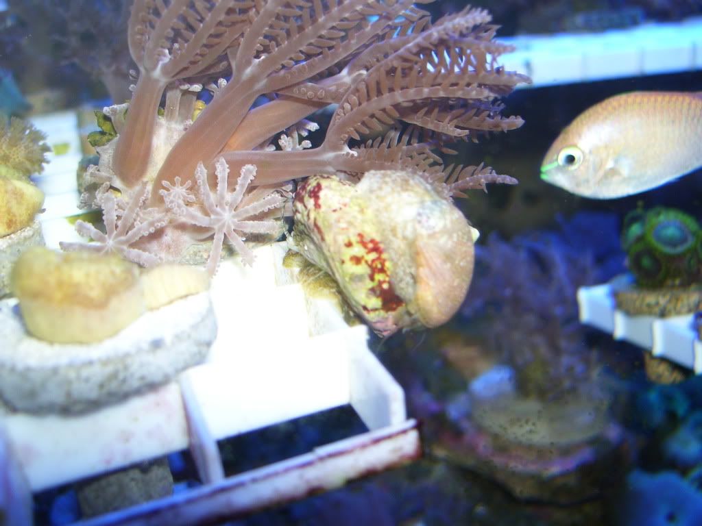 100_2486.jpg