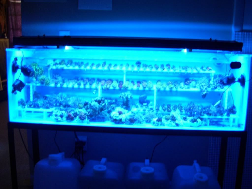 100_2687.jpg