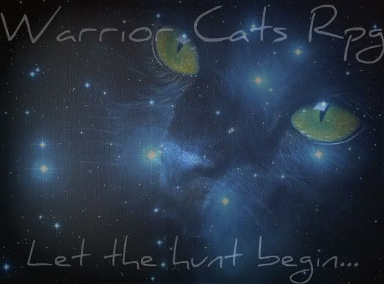 warriors cats rpg : saston