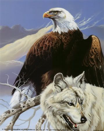 eagleoverwolf Pictures, Images and Photos