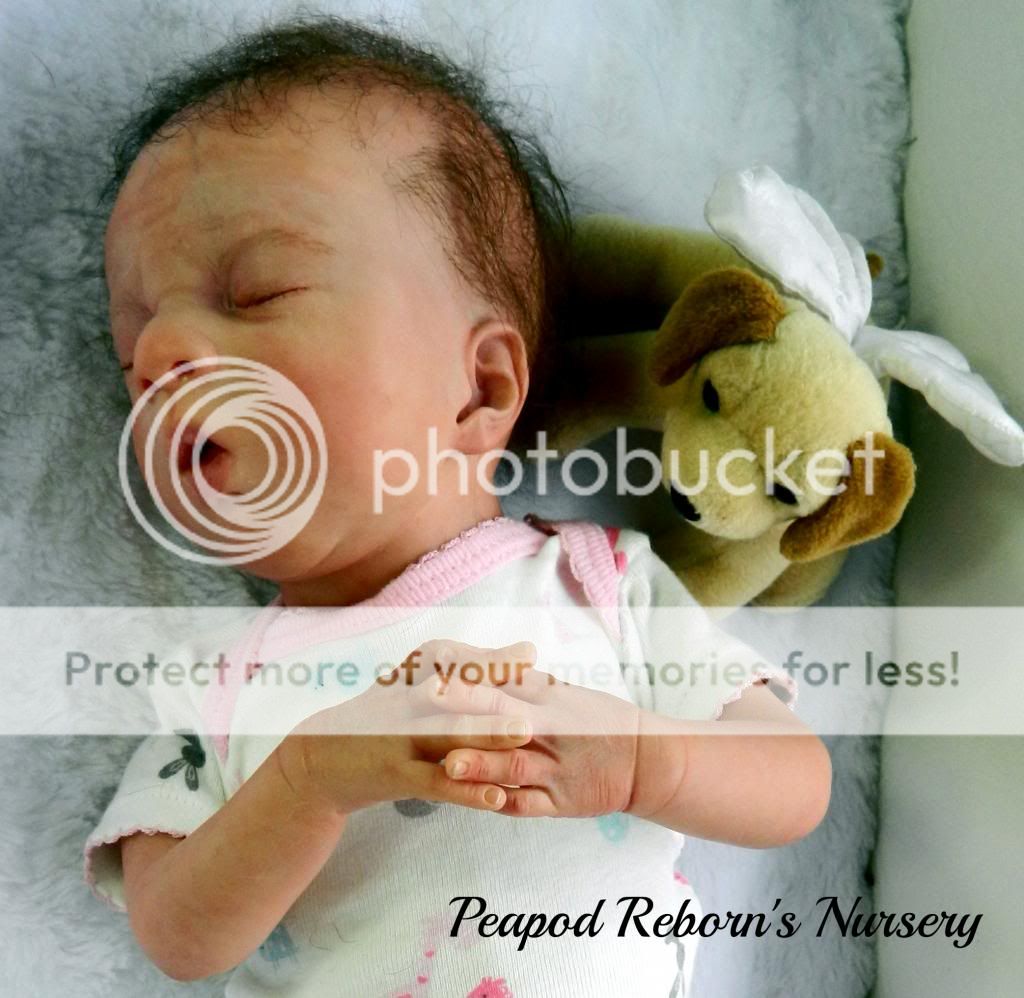 Reborn Preemie Baby Girl from The Maya Sculpt by Olga Auer with Tummy Plate