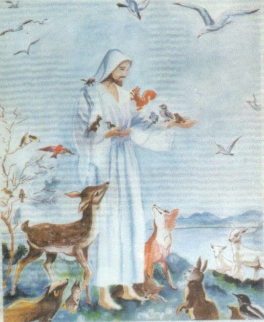 Jesus With The Animals Pictures, Images & Photos | Photobucket