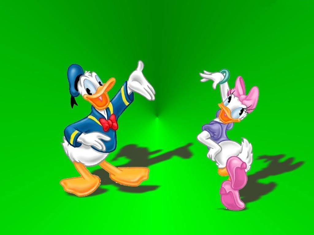donald-duck-paja-patak.jpg